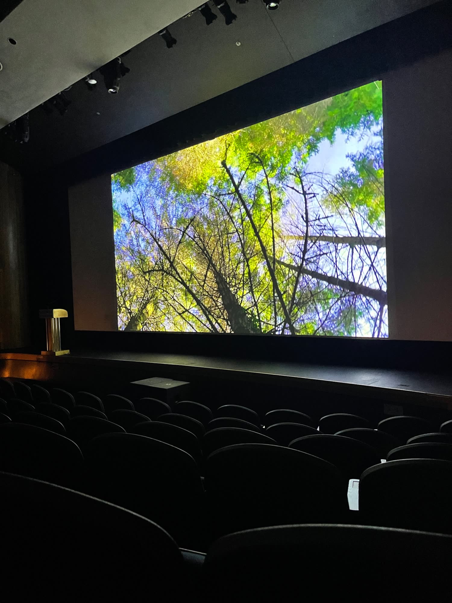 A film projected on the UHCL Bayou Theater screen during the 2023 festival