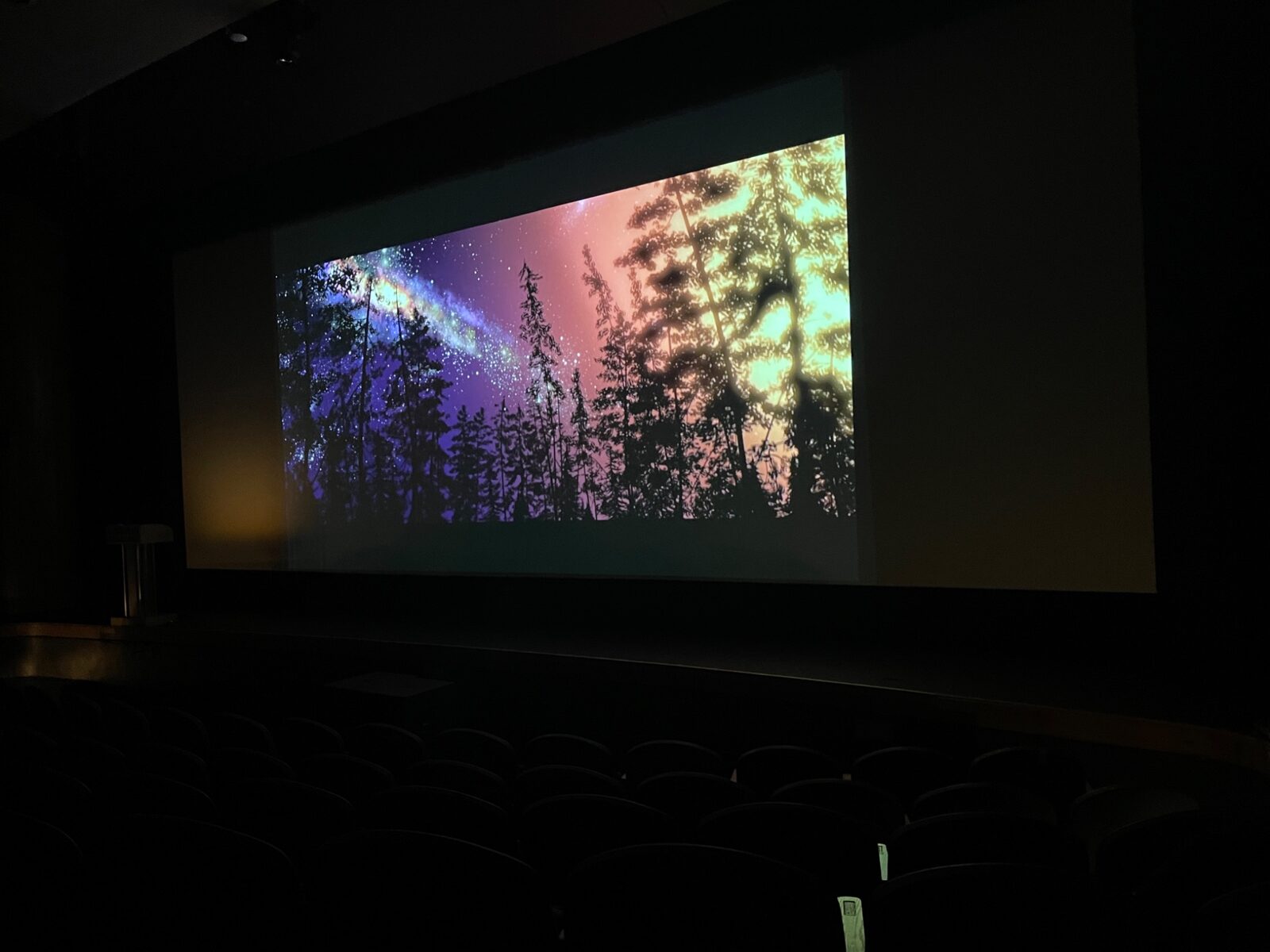 Forest film projected in the Bayou Theater