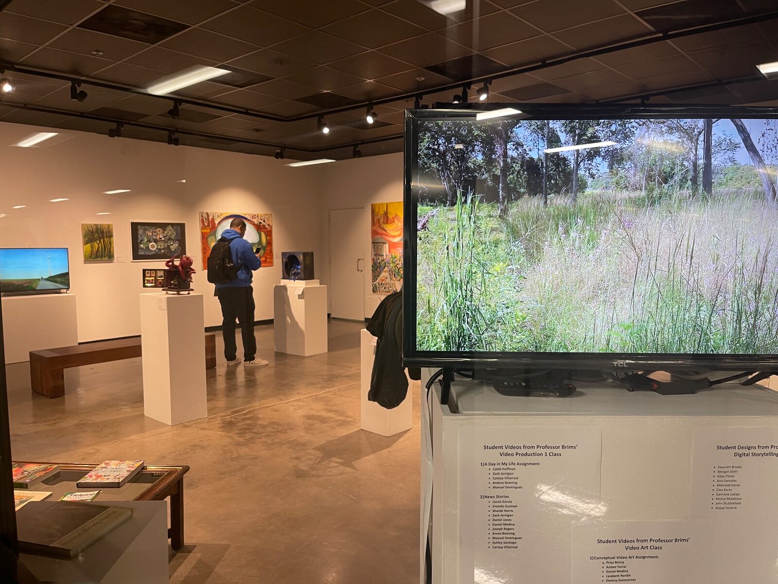 Video installation in the UHCL Art Gallery