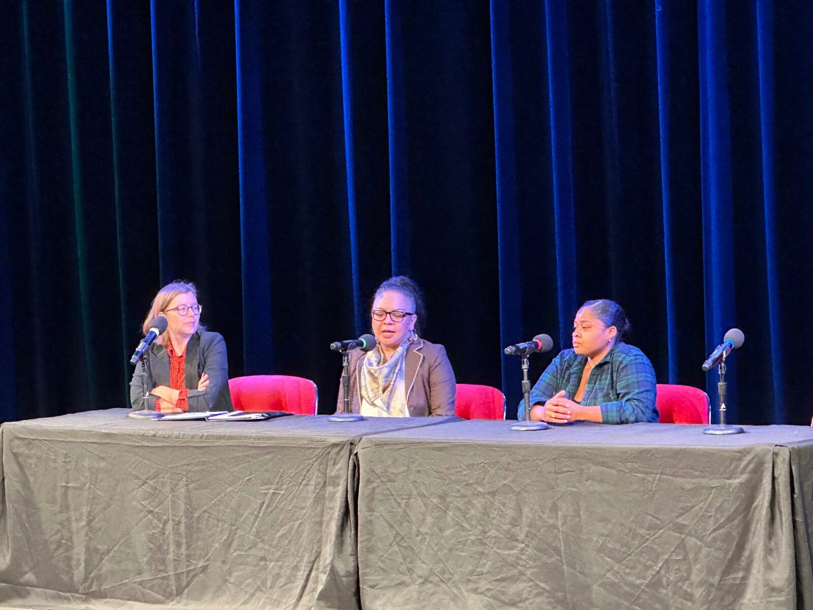 Panelists speaking on the Bayou Theater stage