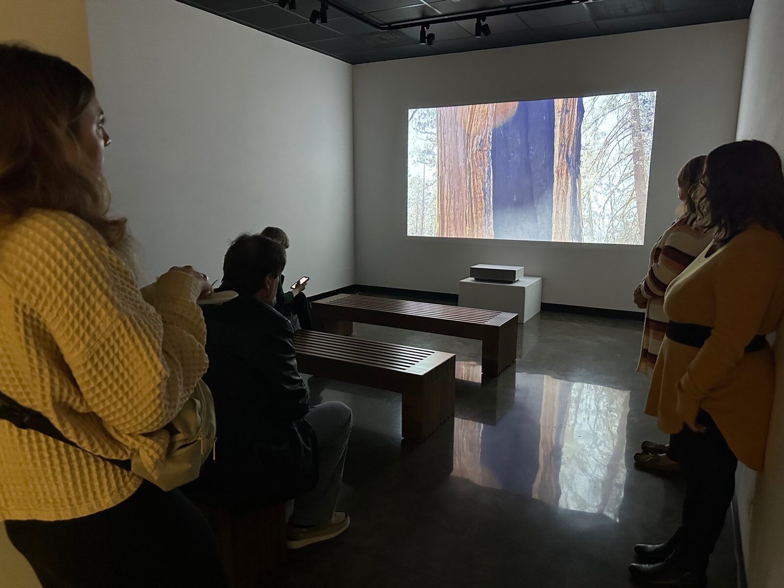 Visitors watching a projection in the gallery Black Box