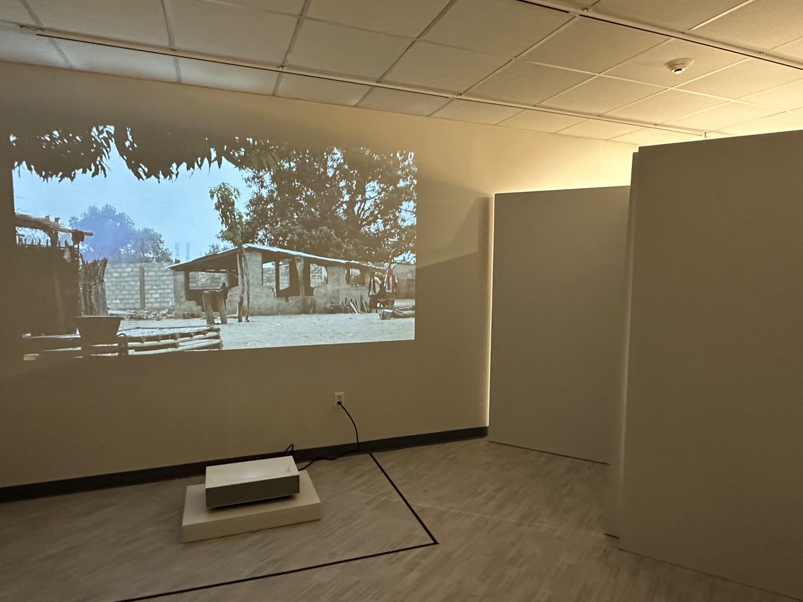 Film projected in the festival gallery