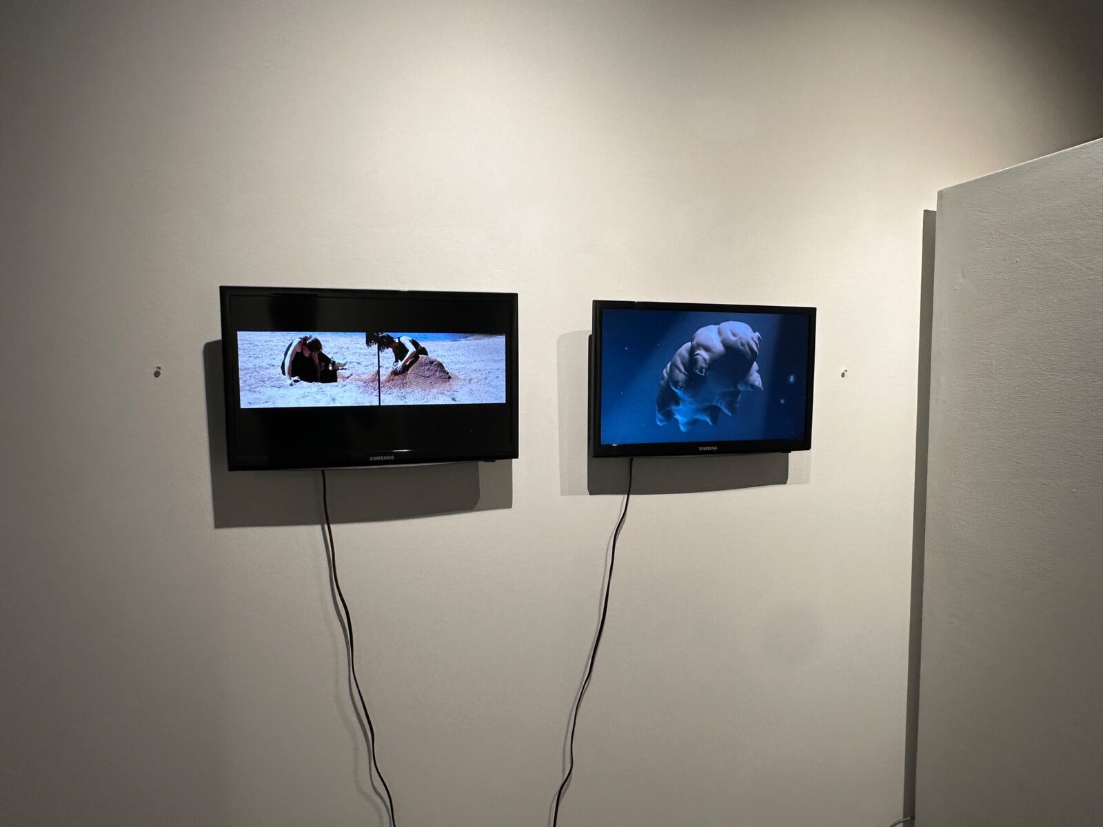 Two video artworks displayed side by side in the gallery