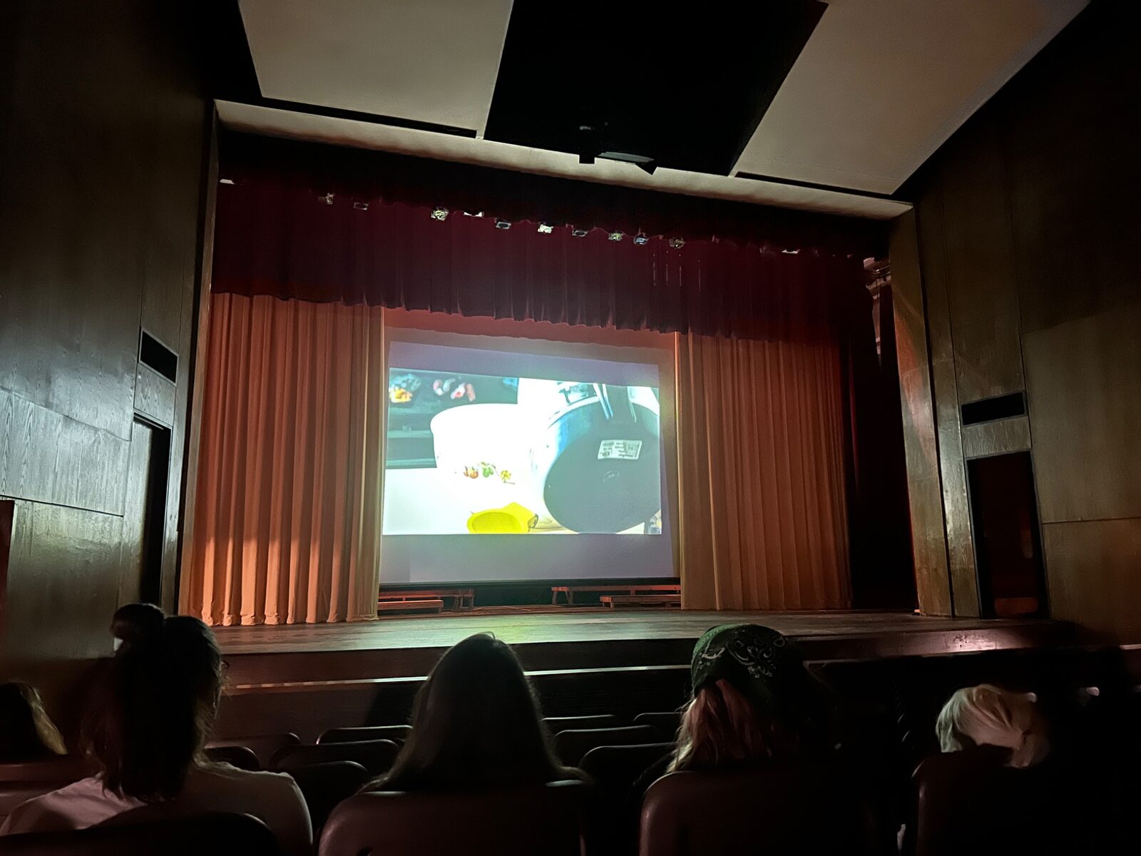 Audience watching a film in the Alvin College Theater