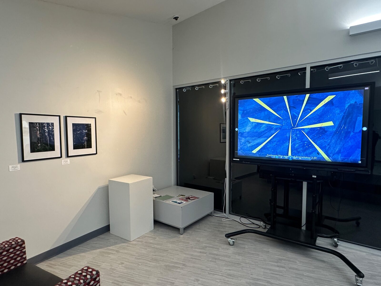 Screen and framed artworks in the festival gallery