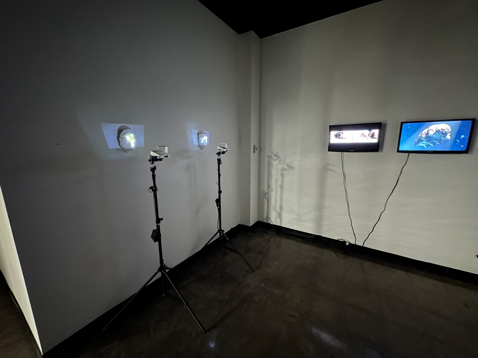 Multiple projection and monitor works installed in a dark gallery
